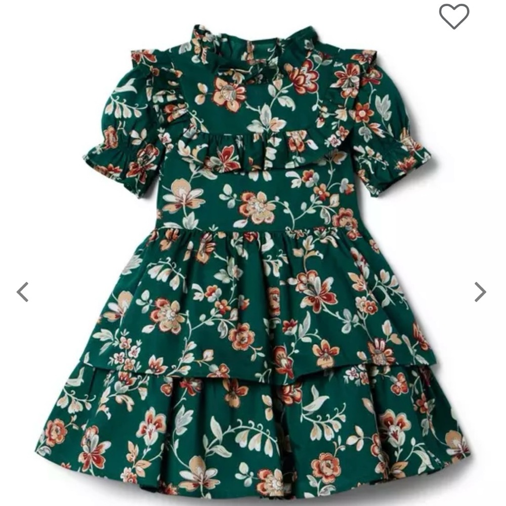 NWT Janie and Jack Green Floral Dress